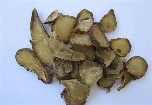 吃附子能吃甜白瓜,探寻神奇食补搭配之谜