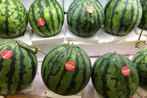 日本吃翔吃瓜,吃翔吃瓜，揭秘独特饮食文化