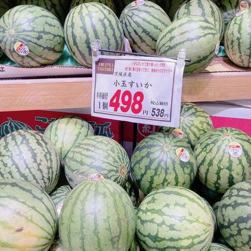 日本吃翔吃瓜,吃翔吃瓜，揭秘独特饮食文化