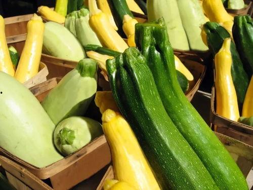 带你吃瓜俄罗斯,带你吃瓜俄罗斯风味佳肴