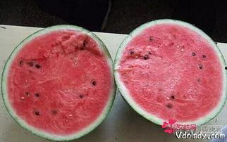 阴瓜怎么吃,解锁健康美味新体验