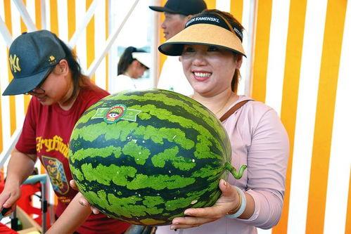 sweet吃瓜版,揭秘娱乐圈的甜蜜瓜皮与幕后真相