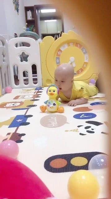 带你吃瓜鸭玩具,带你走进“带你吃瓜鸭”玩具的趣味世界