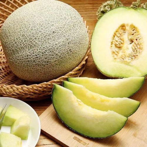 网纹蜜瓜怎么吃