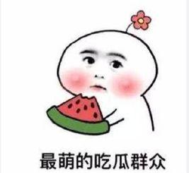 评论吃瓜群众,揭秘网络评论背后的真相