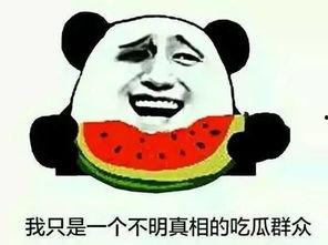 评论吃瓜群众,揭秘网络评论背后的真相