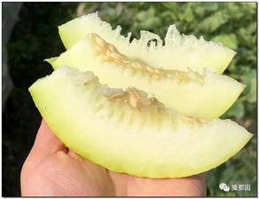 震撼吃瓜,揭秘娱乐圈那些不为人知的幕后故事