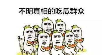 安静的吃瓜人,悠然自得的人生篇章
