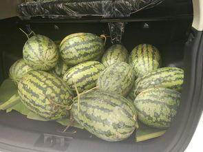 河边凳子吃瓜,夏日吃瓜时光