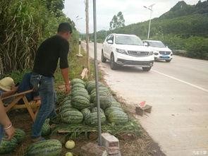 河边凳子吃瓜,夏日吃瓜时光