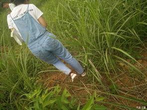 河边凳子吃瓜,夏日吃瓜时光