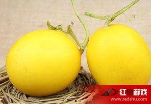 吃梨瓜喉咙不舒服,揭秘食用注意事项