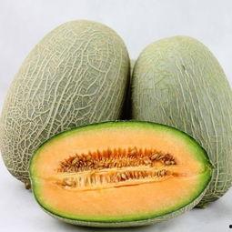 来个哈密瓜吃,尽享夏日清新滋味