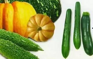 铁锤瓜怎么吃,解锁美味新体验