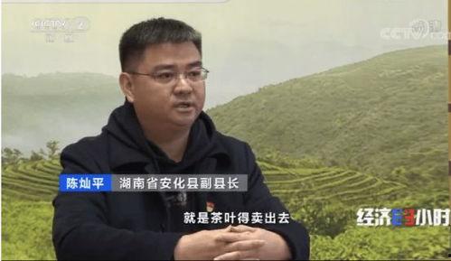 县长直播吃瓜视频,揭秘幕后故事