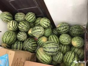 贵阳师范吃瓜视频,校园生活新视角