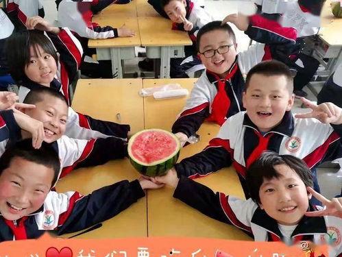 江西中学吃瓜,揭秘校园里的“瓜田”风云