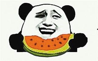 吃瓜乐曲,品味生活百态的旋律之旅