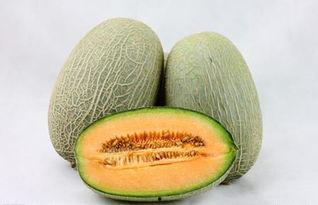 鸡蛋和哈密瓜一起吃吗,营养互补的美食探索