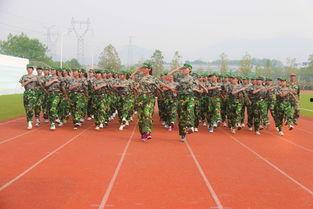 安庆医专吃瓜,一场校园“吃瓜”事件的背后真相