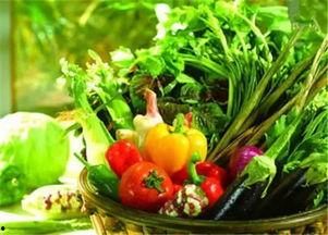 安庆医专吃瓜,一场校园“吃瓜”事件的背后真相