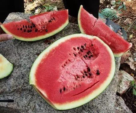 吃瓜总拉肚子,揭秘夏季消暑美食背后的健康隐患