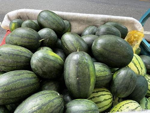 喜欢吃别人瓜,揭秘爱吃他人瓜的奇妙心理现象