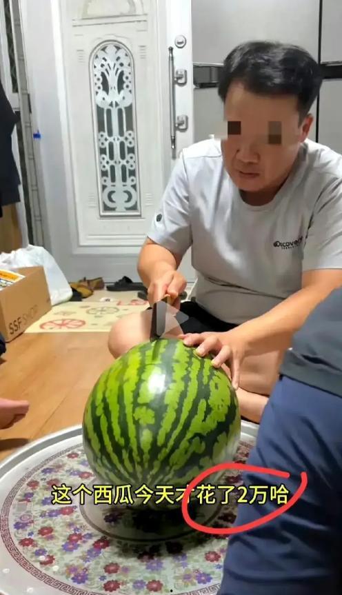 网友吃瓜现状,揭秘网友们的“瓜田”生活