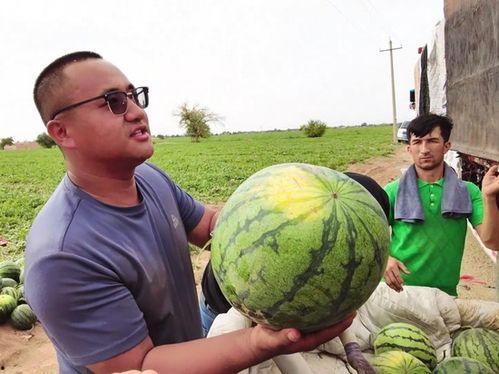 中山最新吃瓜新闻,揭秘网红餐厅卫生门事件