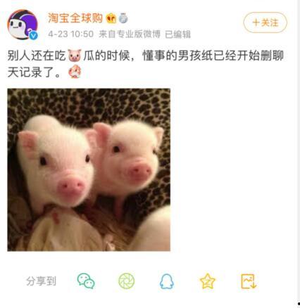 吃瓜的小猪头像,揭秘吃瓜界的萌宠传奇