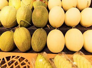 吃冬瓜吃西瓜吃哈密瓜,冬瓜、西瓜与哈密瓜的甜蜜邂逅