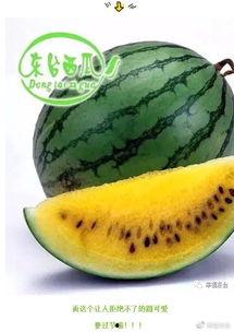 怎么开吃瓜语音