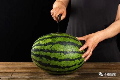 什么叫做吃瓜落,网络热词背后的文化现象