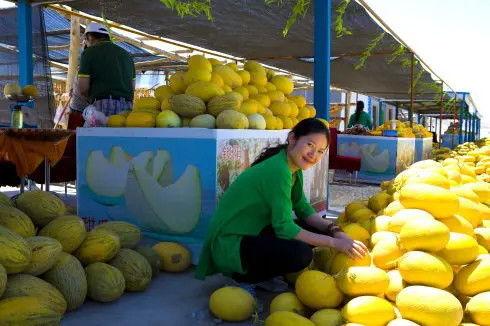 瓜州去哪吃,探寻当地特色风味指南