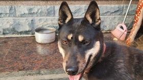 土狗不熬夜吃瓜,吃瓜也养生