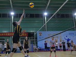 排球吃瓜,揭秘那些年我们吃过的瓜