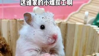 吃瓜鼠涿州,探寻美食与文化的交汇之地