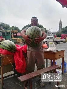 王门多是吃瓜,揭秘娱乐圈的“吃瓜”盛宴