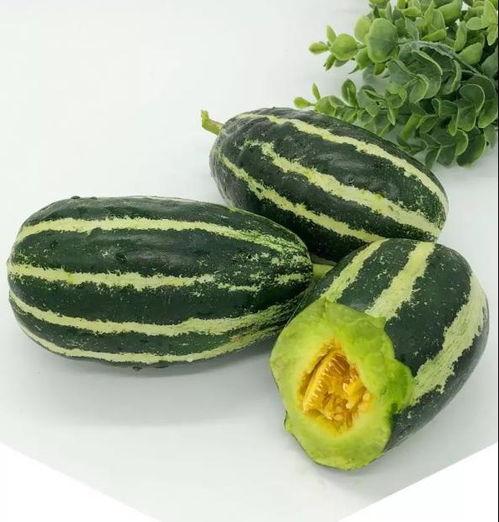 专门吃瓜尖,揭秘专吃瓜尖的独特风味