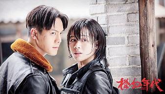 朝阳群众吃瓜警花,吃瓜群众的智慧与正义的守护