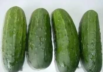 运动前吃乳瓜吗,营养专家的建议