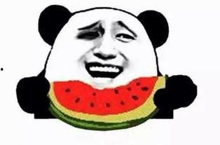 吃瓜群众阿勇,揭秘娱乐圈背后的那些事儿