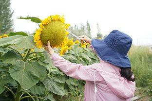 20001自在崖吃瓜