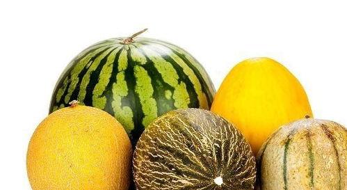 包总吃瓜,揭秘娱乐圈幕后风云