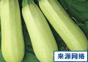 产妇可以吃白瓜吗,白瓜——产妇的滋补佳品