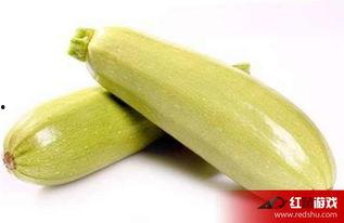 产妇可以吃白瓜吗,白瓜——产妇的滋补佳品