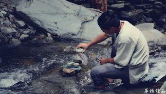 峡谷吃瓜侠,揭秘电竞圈幕后风云