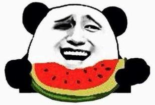 高贵冷艳吃瓜群众