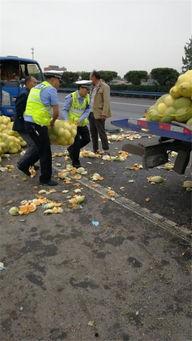 吃瓜群众把瓜摔一地,吃瓜群众摔瓜背后的故事