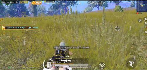 和平精英战神吃瓜,揭秘和平精英战神背后的故事